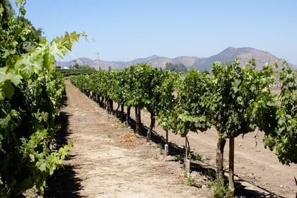 7-Day Santiago & Easter Island Tour