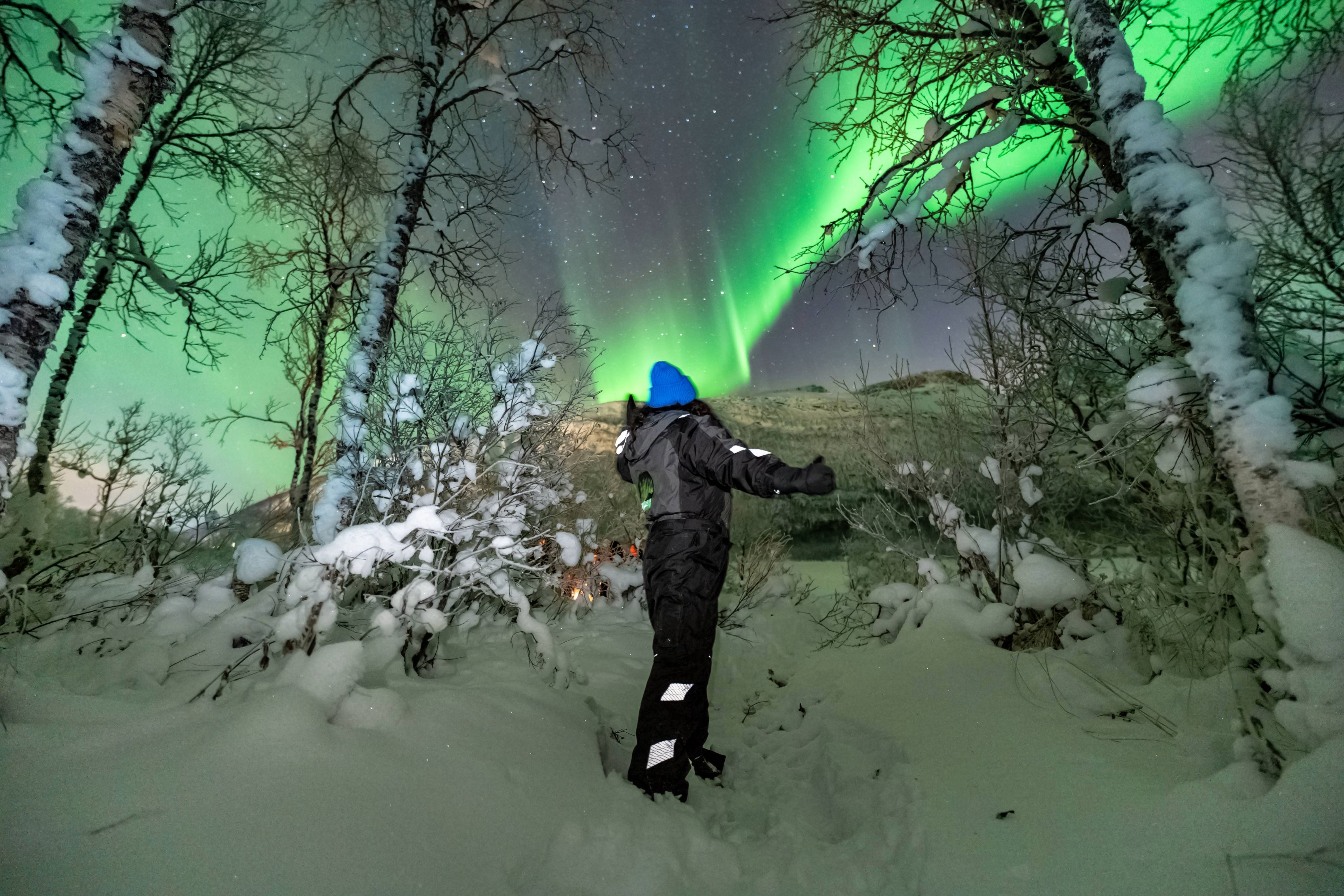 Traveler standing among snow-dusted birch trees looking up at a brilliant green Northern Lights display during a private Tromsø tour.