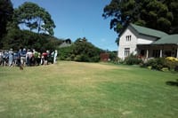 Kiambethu tea farm
