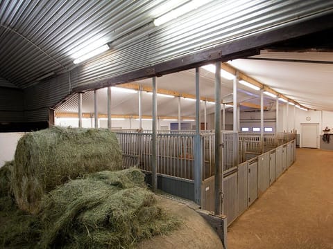 Farm visit to Hestaland, photo 4
