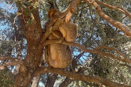 3 Days 2 Magic Night Merzouga Desert Tour From Fes & Back to Fes