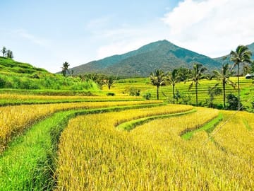 Private Full-Day Temple Tour in Bali with Uluwatu Visit