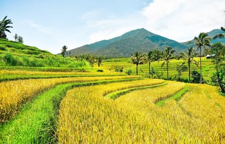 Private Full-Day Temple Tour in Bali with Uluwatu Visit