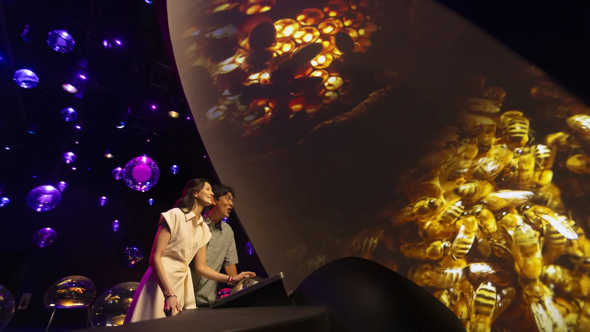 A man and a woman look upward at a large projection of a cluster of bees in a dark room with floating purple lights at Exploria in Mandai Singapore Ticket.