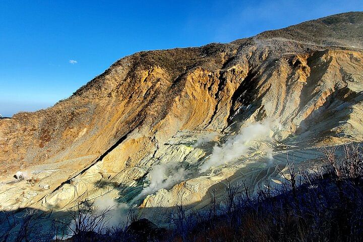 Mt. Fuji and Hakone Private Tour with Bullet Train Return