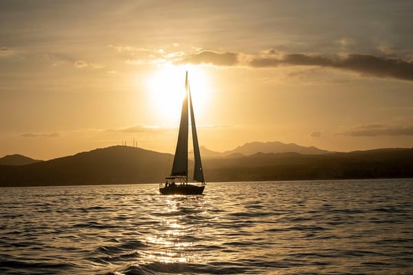 Things to do in San José del Cabo