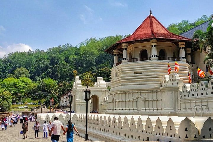 Udawalawe National Park Safari with Naturalist