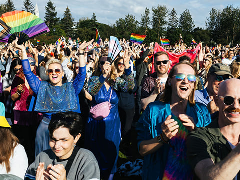 Reykjavík Pride 2027 Packaged | Queer History Walk & Gay Golden Circle, photo 9