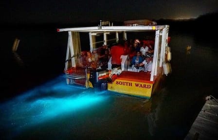 Bioluminescence Lagoon Tour from Montego Bay with Pick Up