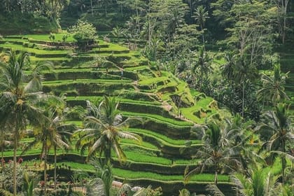 Private Tour of Ubud Center and Surroundings