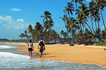 Three-Day Cultural and Beach Tour from Kochi to Alleppey