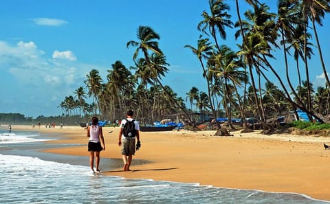 Three-Day Cultural and Beach Tour from Kochi to Alleppey