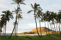 In Transit Tahiti: Full Day Private Tour  5