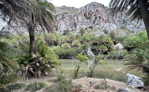 Private Tour of Preveli Beach and Kourtaliotiko Gorge, Crete