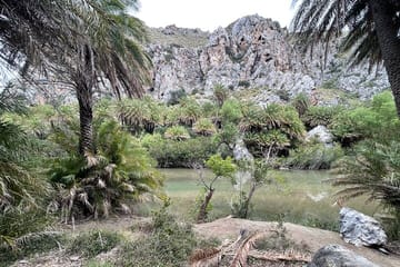 Private Tour of Preveli Beach and Kourtaliotiko Gorge, Crete