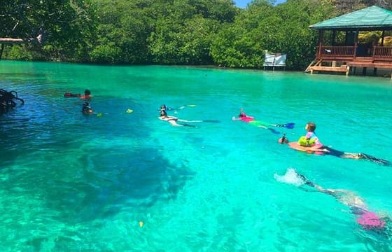 East Sightseeing, Mangrove Tunnel Snorkel, Hole in the Wall, with Transfer