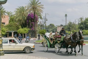 Marrakech: 1H-Horse carriage private tour in madina w/ pick-up