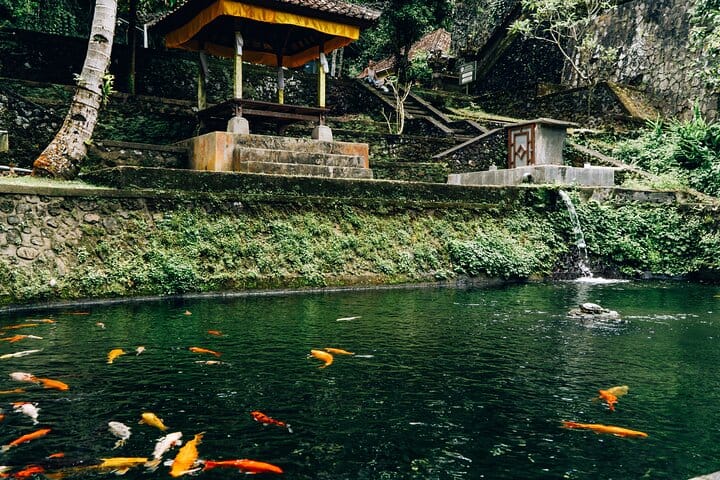 Bali Private Car Full Day Customized Tour With Drone Service