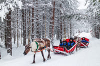 Snowmobile Safari to Reindeer Farm - Rovaniemi 1