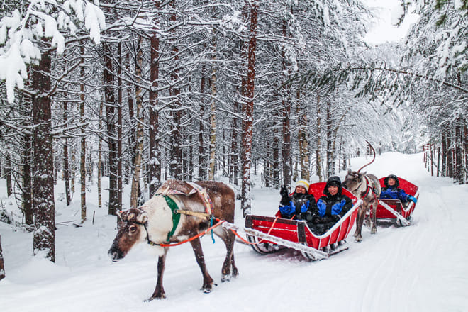 Snowmobile Safari to Reindeer Farm - Rovaniemi 5