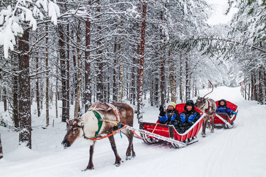 Snowmobile Safari to Reindeer Farm - Rovaniemi