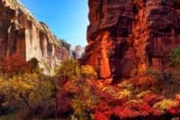 3-Day National Parks Winter Tour