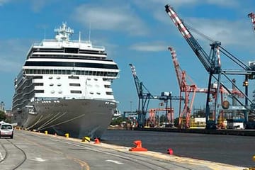 Port Transfer with English-Speaking Guide in Buenos Aires