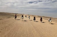 Horse Riding Tour Two Hours Sun &amp; Sea With Transfer - Hurghada