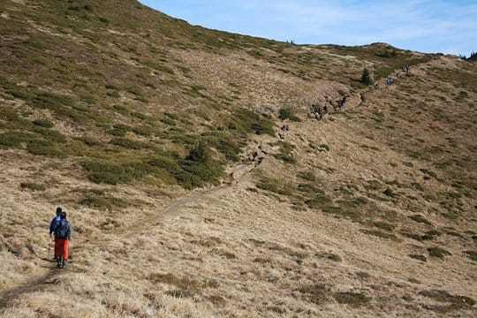 1 Day Hike to Ciucas Peak (1954m) 9