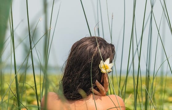 Kayak Adventure: Full Day