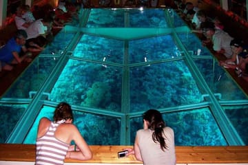Glass Bottom Boat Tour in Sharm El Sheikh, Egypt