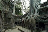 Taprohm