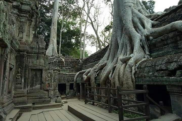 Taprohm