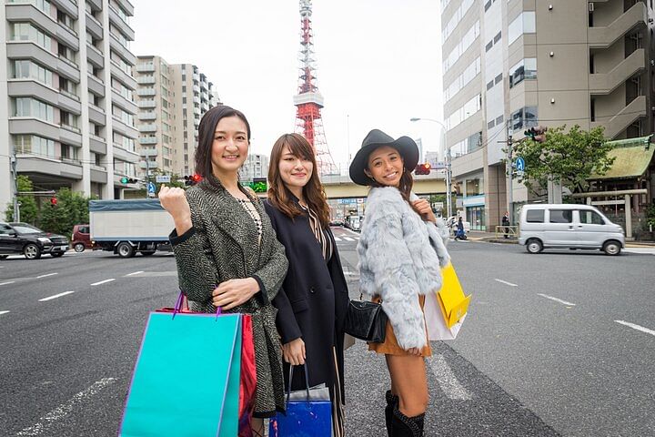 Tokyo Full-Day Private Sightseeing Tour with English Driver