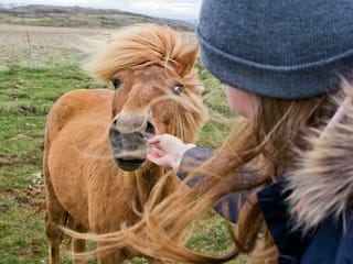 South Iceland Highlights - 5-Day Self-Drive, photo 20