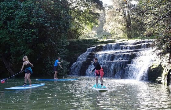 2-Hour Stand-Up Paddle Boarding Tour to Lucas Creek Waterfall