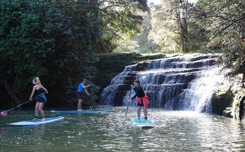Stand-Up Paddle Boarding Tour to Lucas Creek Waterfall in Auckland