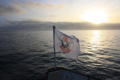 Whale Watching & Northern lights Combo Cruise from Reykjavik