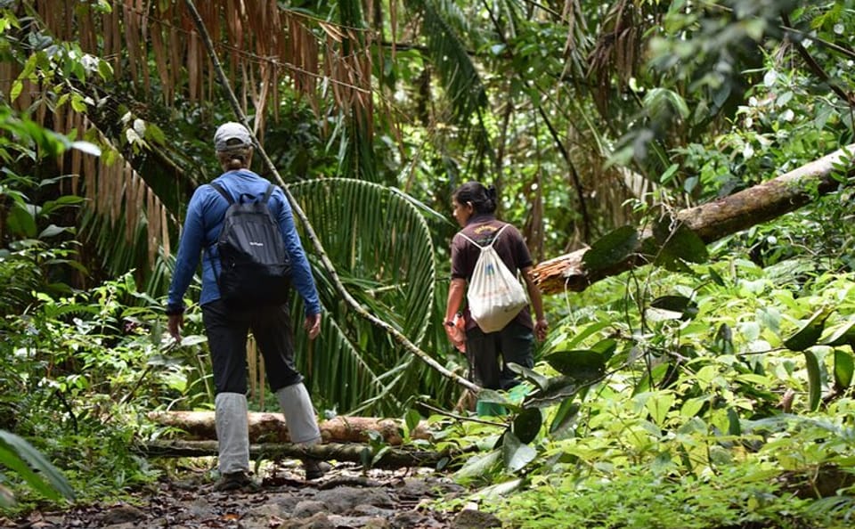 Sinharaja Rain Forest Adventure Tour from Tangalle