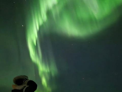 Reykjavik Small Group Northern Lights Tour with Pickup, photo 3