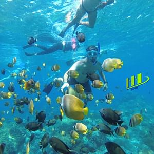 Manta Bay Snorkeling Adventure with Kelingking Beach Nusa Penida All Inclusive