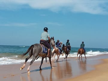 Half-Day Horseback Riding Tour in Kalpitiya, Sri Lanka