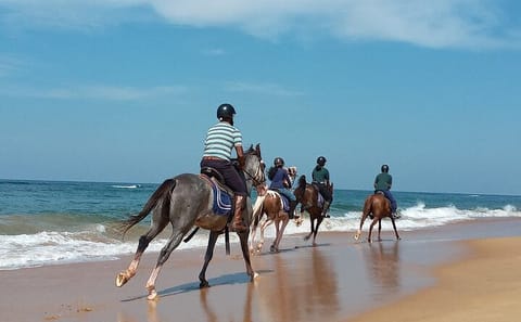 Half-Day Horseback Riding Tour in Kalpitiya, Sri Lanka