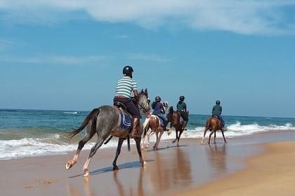 Half-Day Horse Riding in Kalpitiya