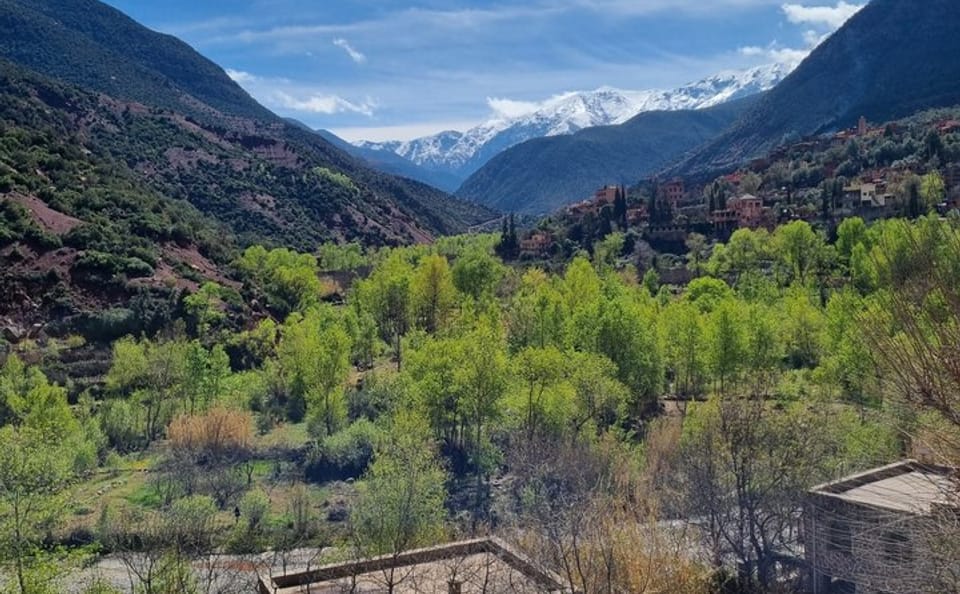 Day Trip to Ourika Valley visiting Anima Garden