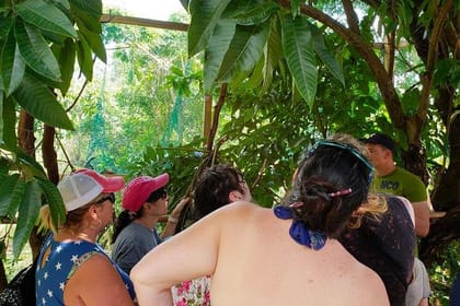 Roatan AJ’s Sloths, Monkeys Eco Encounter, City Tour, Beach Break & Transfer