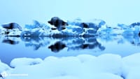Glacier Lagoon (Jökulsárlón) & South Coast Tour with boat ride 6