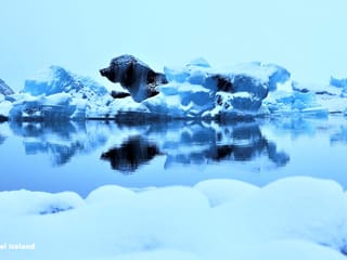 Glacier Lagoon (Jökulsárlón) & South Coast Tour with boat ride, photo 6