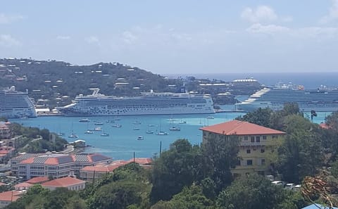 Private Full Day Tour of Charlotte Amalie and Smith Bay
