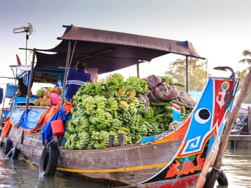 Mekong Delta Discovery: My Tho Boat Ride & Ben Tre Coconut Village from Ho Chi Minh City